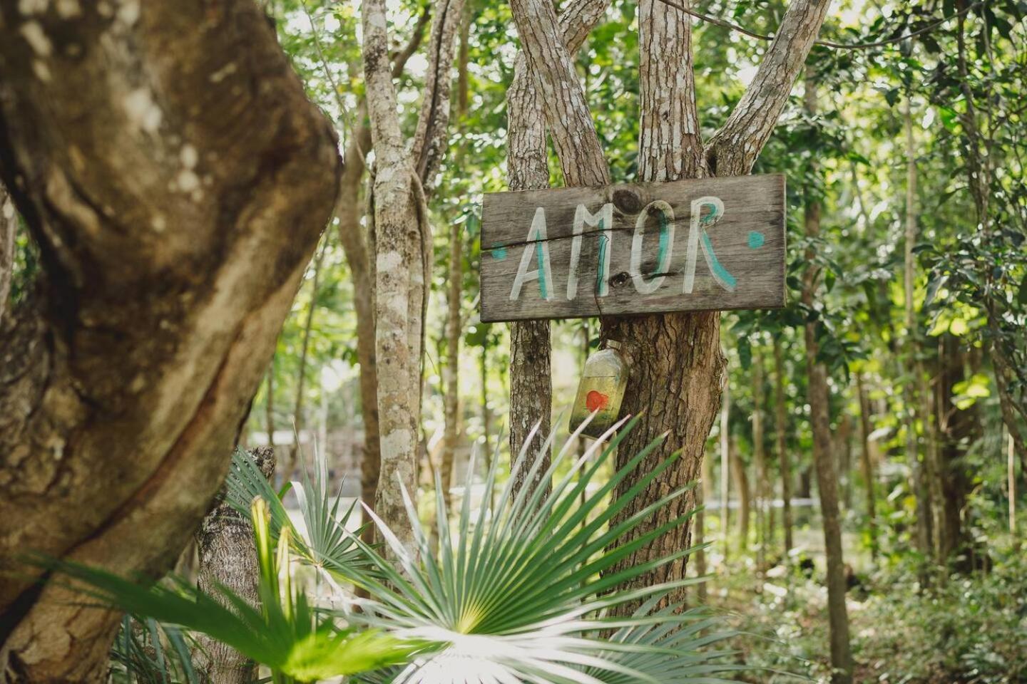 Casa Costal - Glamping Experience Hotel Puerto Morelos Exterior photo